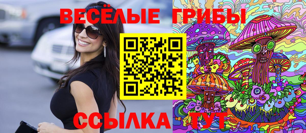 Галлюциногенные грибы Psilocybine cubensis Дубна