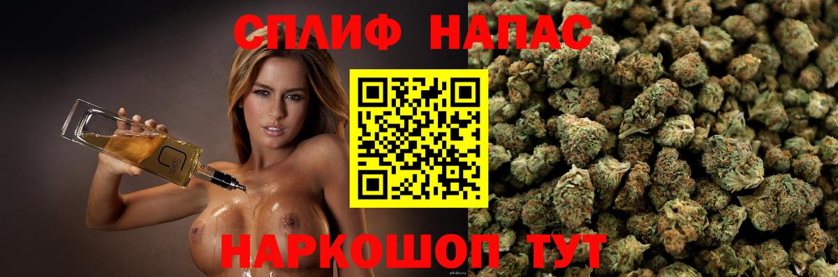 Конопля марихуана Дубна